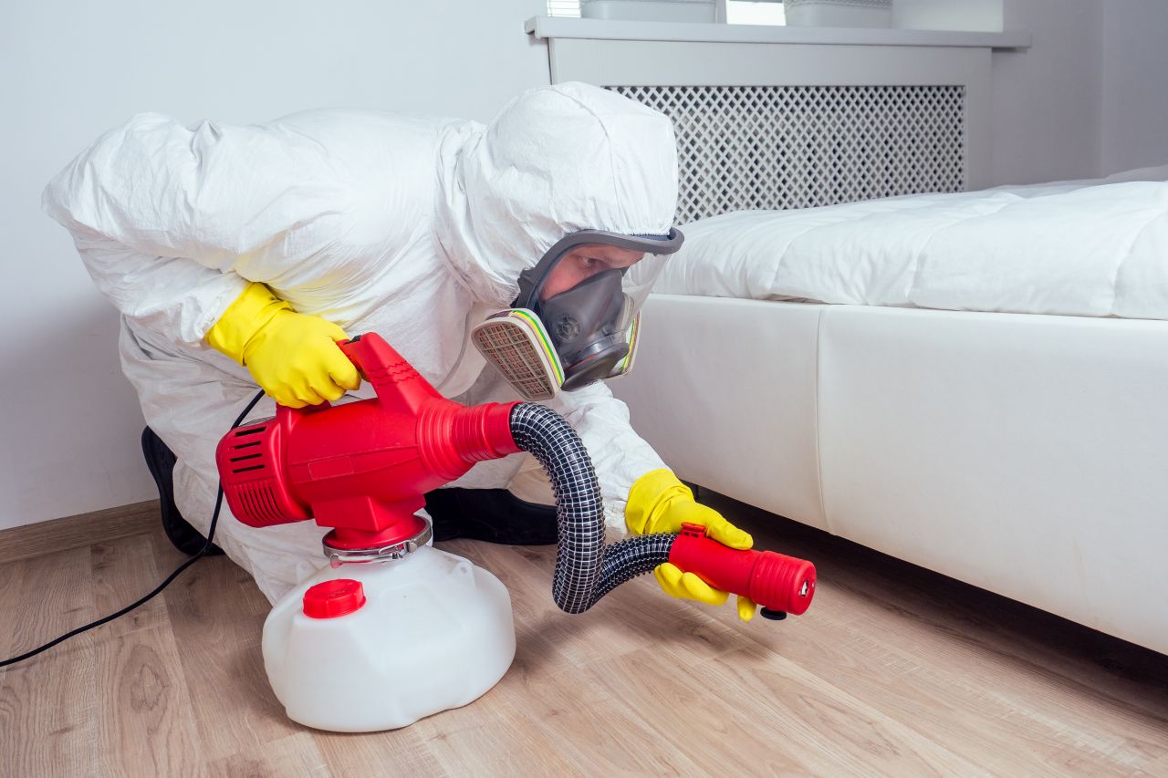Dlaczego warto wykonywać dezynfekcję mieszkania?