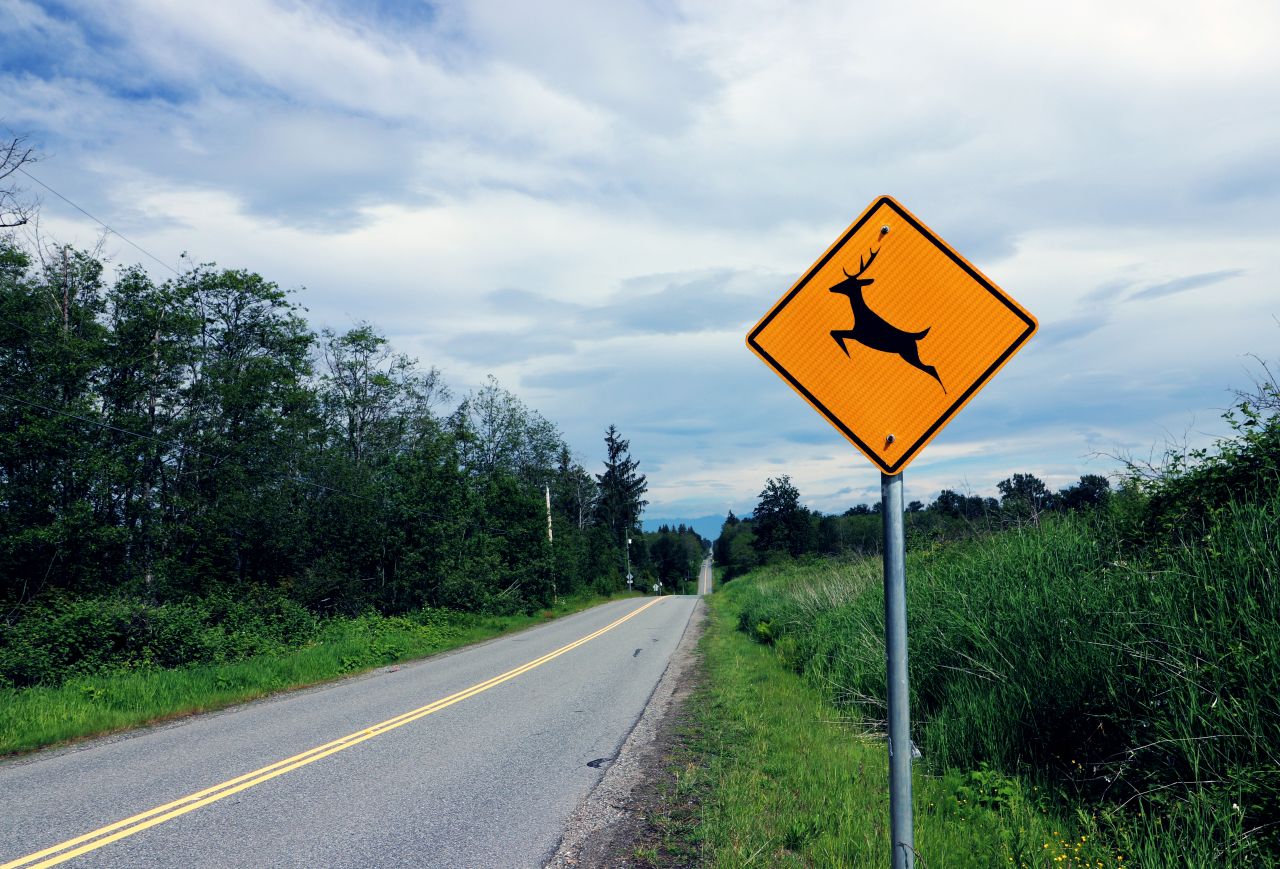 Znaki drogowe – dlaczego są one tak ważne?